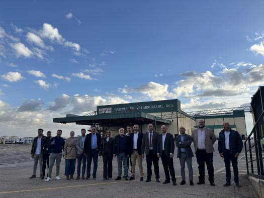 Solicita las ayudas VINATI 2025 por parte del Gobierno de Castilla-La Mancha hasta el 15 de enero