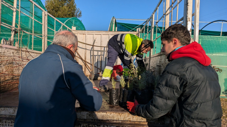 La Diputación de Toledo impulsa la reforestación con la donación de 27.000 plantas