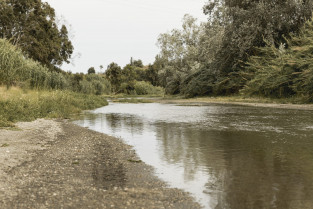 El Ayuntamiento de Talavera avisa del aumento del caudal del Alberche