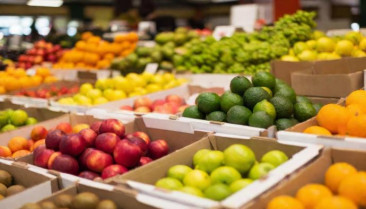 Castilla-La Mancha reparte frutas y hortalizas en más de 553 centros educativos