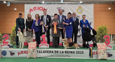 Talavera celebra con éxito la Exposición Nacional e Internacional Canina de Castilla-La Mancha