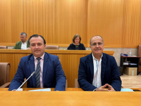 Talavera aprueba el presupuesto definitivo: 85 millones de euros