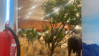 El Museo de Fauna Salvaje de Talavera Ferial abre sus puertas este viernes