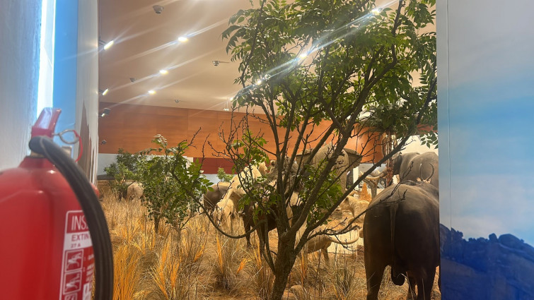 El Museo de Fauna Salvaje de Talavera Ferial abre sus puertas este viernes