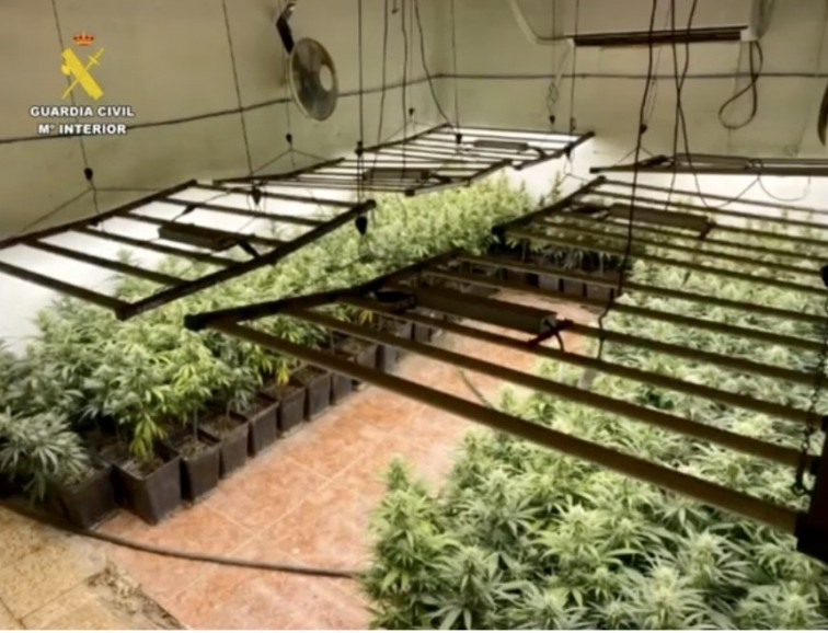 La Guardia Civil detiene a dos personas y desmantela una plantación de 1450 plantas de marihuana