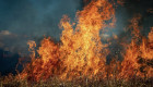 INFOCAM activa la fase de alerta roja por riesgo de incendios en Castilla-La Mancha